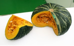 초파리 없애는 방법 18