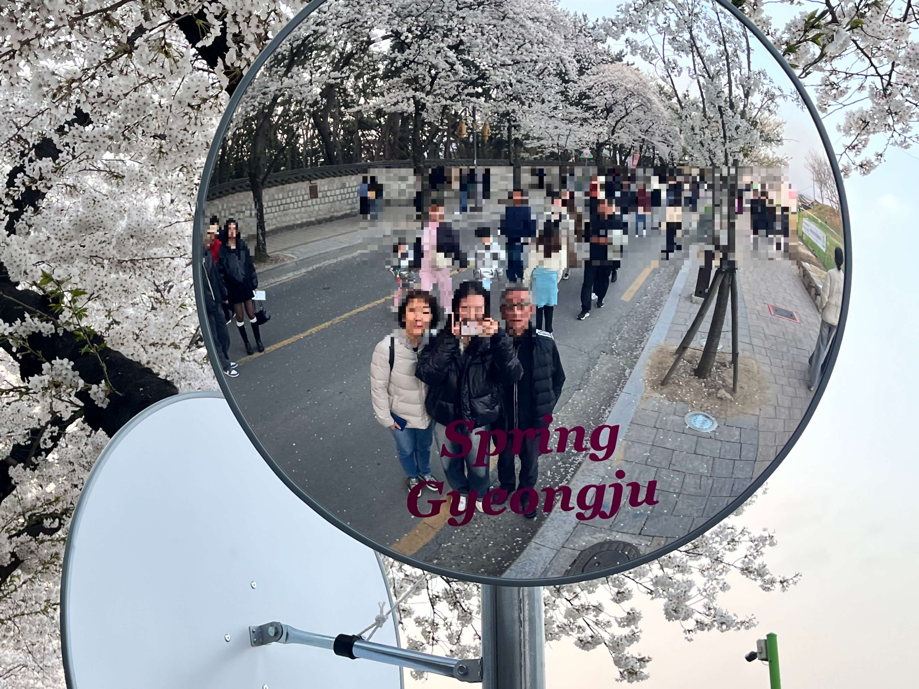 대릉원 돌담길 축제