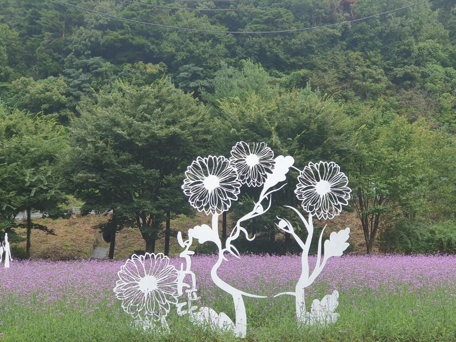 인제에서 꽃길만 걷자14