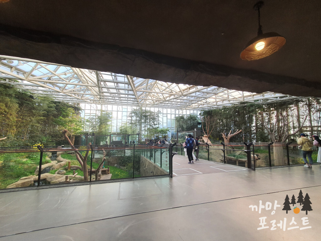 판다월드 코스