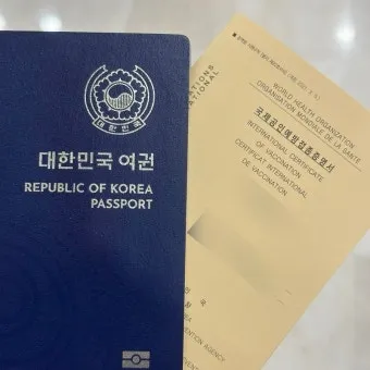 남미 황열병 예방접종 후기 경험과 준비사항_17