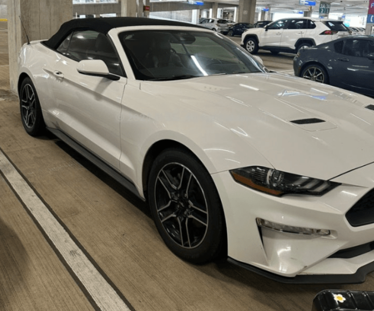 해외 렌트카 업체 알라모 렌트카 후기&amp;#44; 총 렌트비용 및 허츠&amp;#44; 에이비스&amp;#44; 렌터프라이즈&amp;#44; 내셔널 등 타업체와 비교 분석