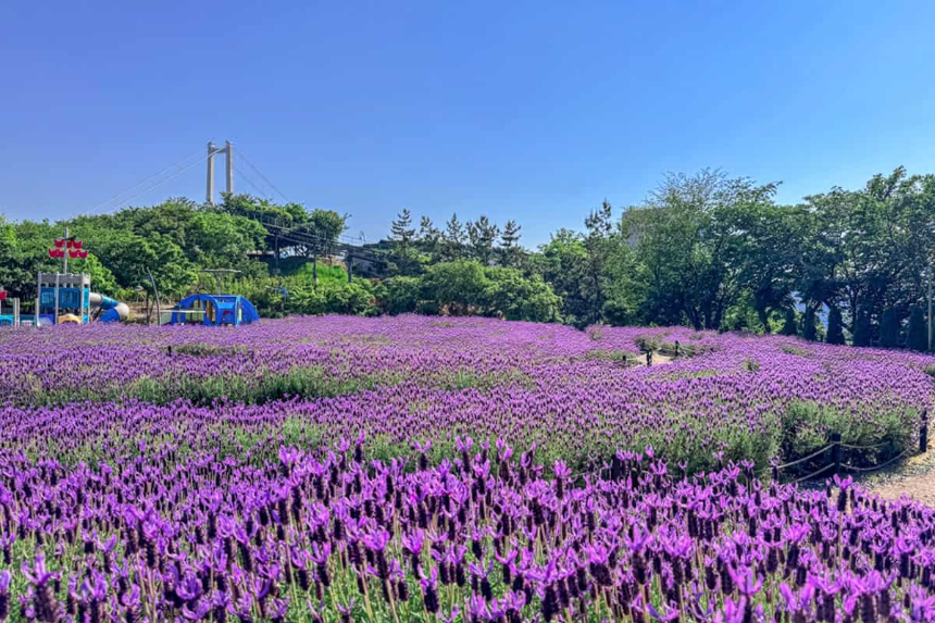 울산여행 명소