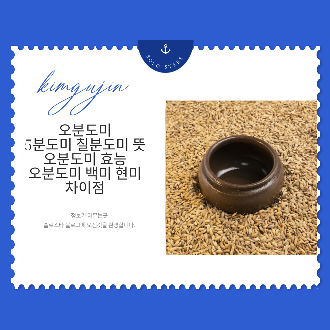 오분도미 사진