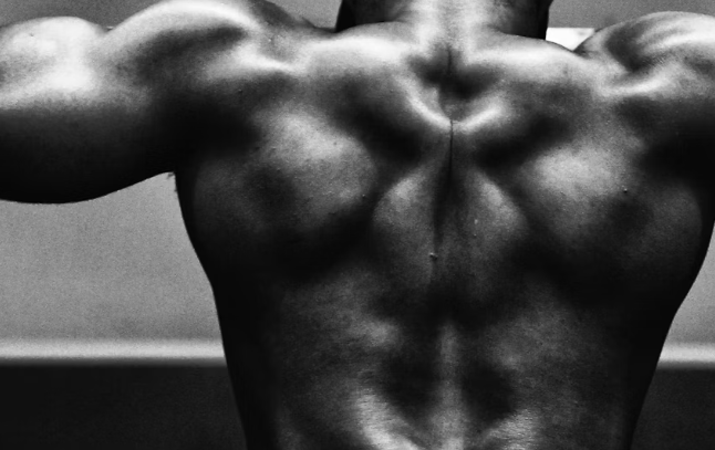 아르기닌 효능 : 근육 경련 예방