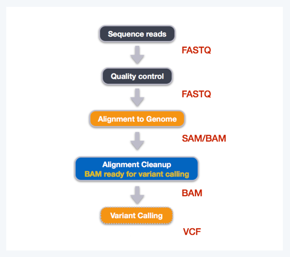 NGS 데이터 분석 흐름도