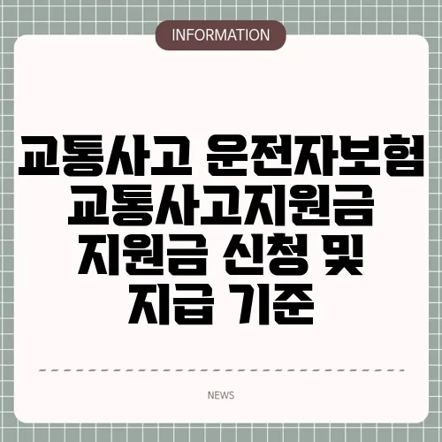 교통사고 운전자보험 교통사고지원금 지원금 신청 및 지급 기준