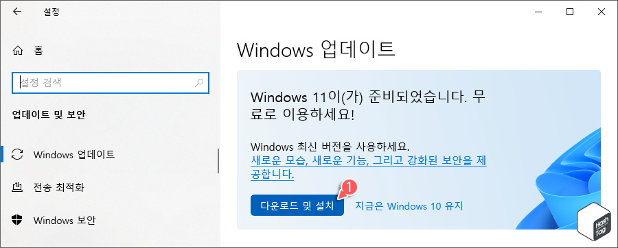 Windows 11 > 다운로드 및 설치