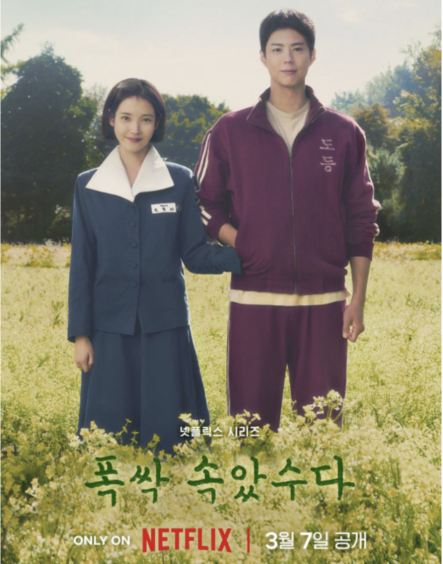 넷플릭스 드라마 폭싹 속았수다 관련 이미지