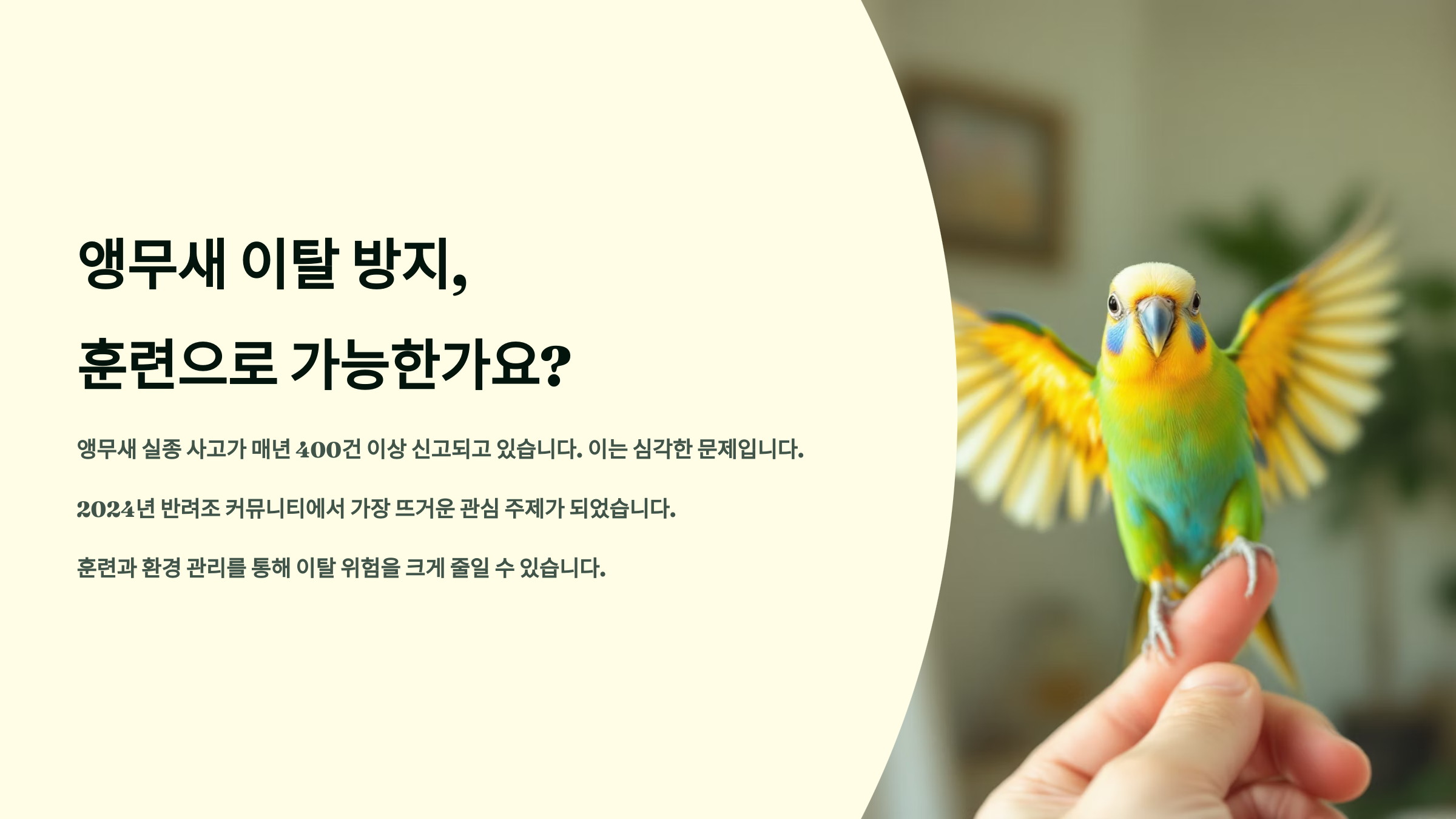 앵무새 이탈 방지, 훈련으로 가능한가요?