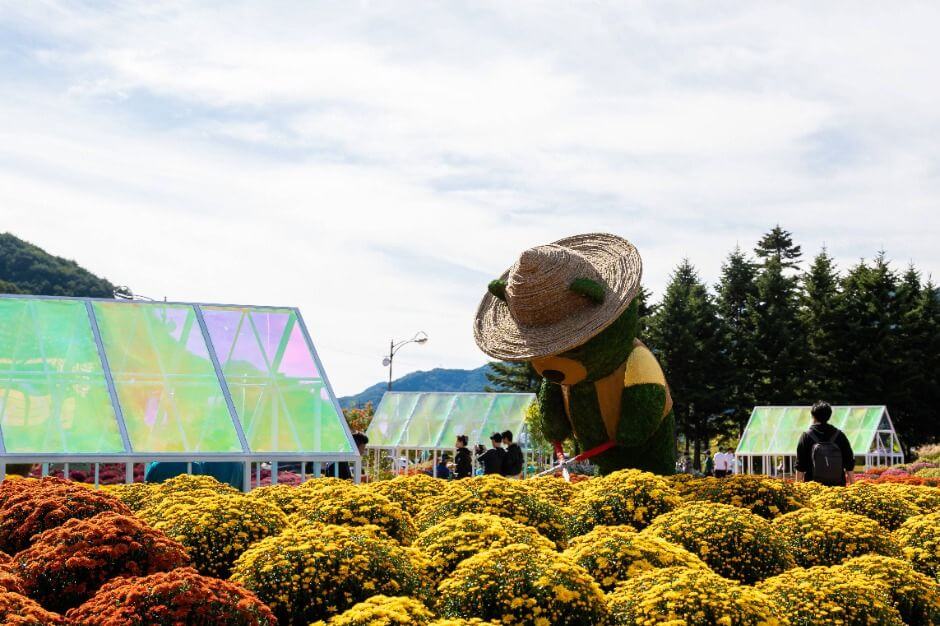 강원도 '인제 가을꽃축제' 언제야? 2025 일정과 포토존 코스 한눈에 보기