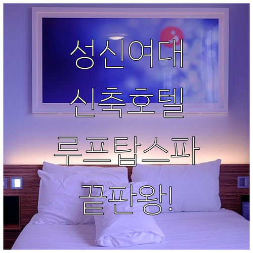 성신여대 호캉스 추천 역세권 신축 호..