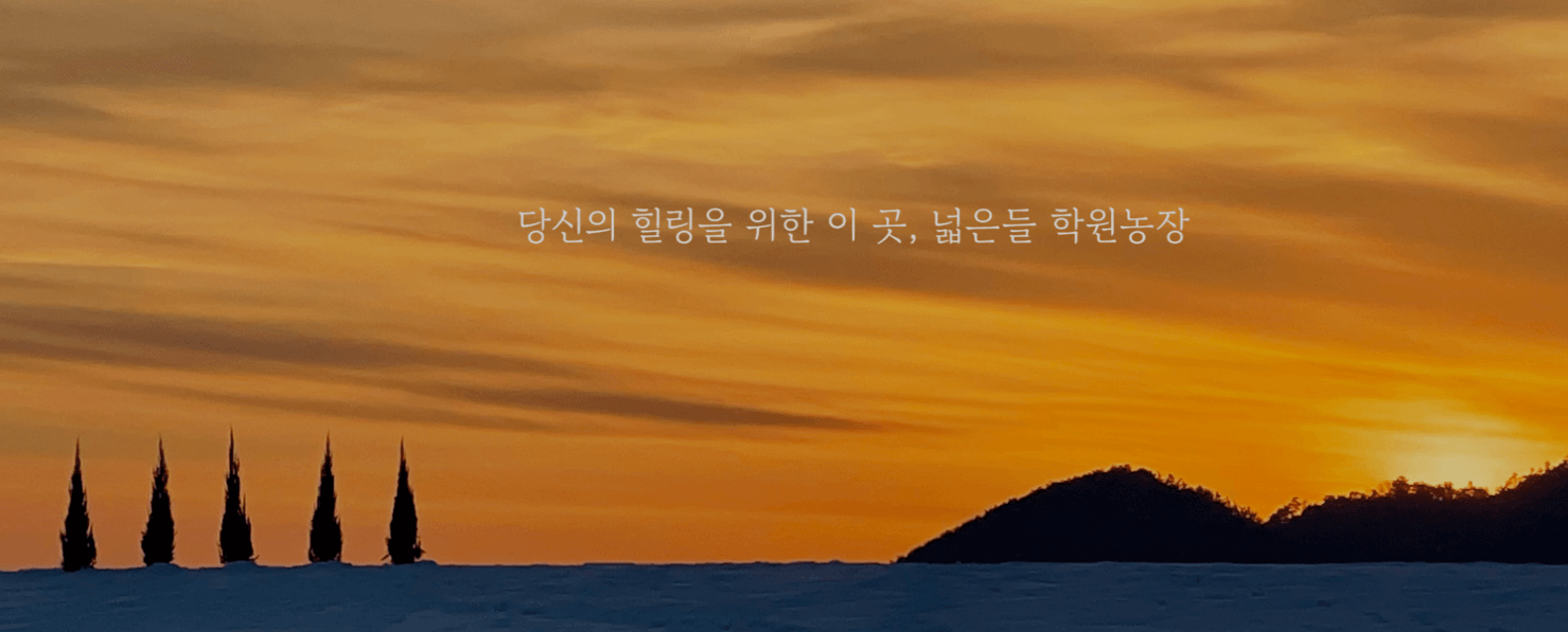 고창 학원 농장 입장료 총정리 관련사진