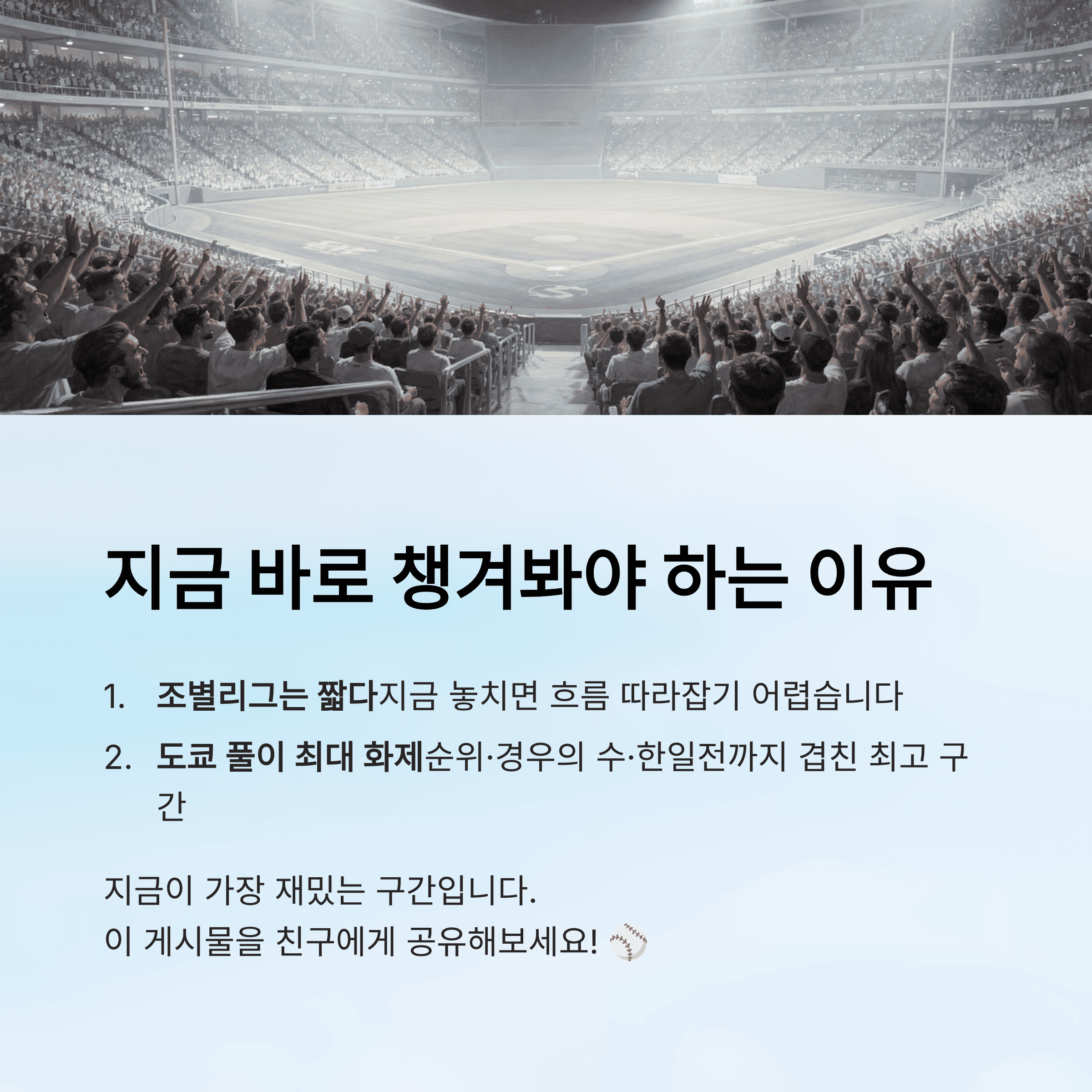 WBC 야구, 지금 왜 이렇게 뜨거운지 한 번에 정리