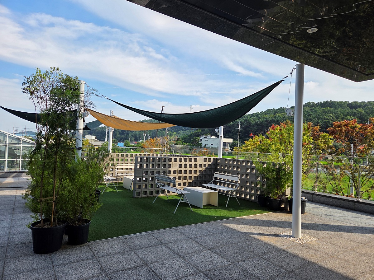 강화도 대형카페 두운리&amp;#44; 초록의 목수국 정원까지 즐기는 강화도 갈만한곳