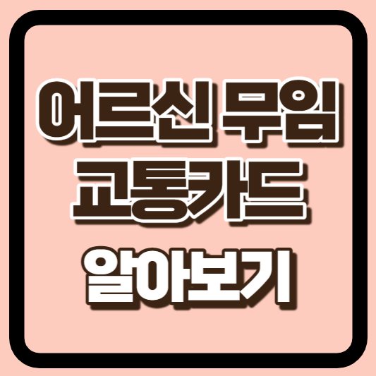 대전 어르신 무임 교통카드 썸네일