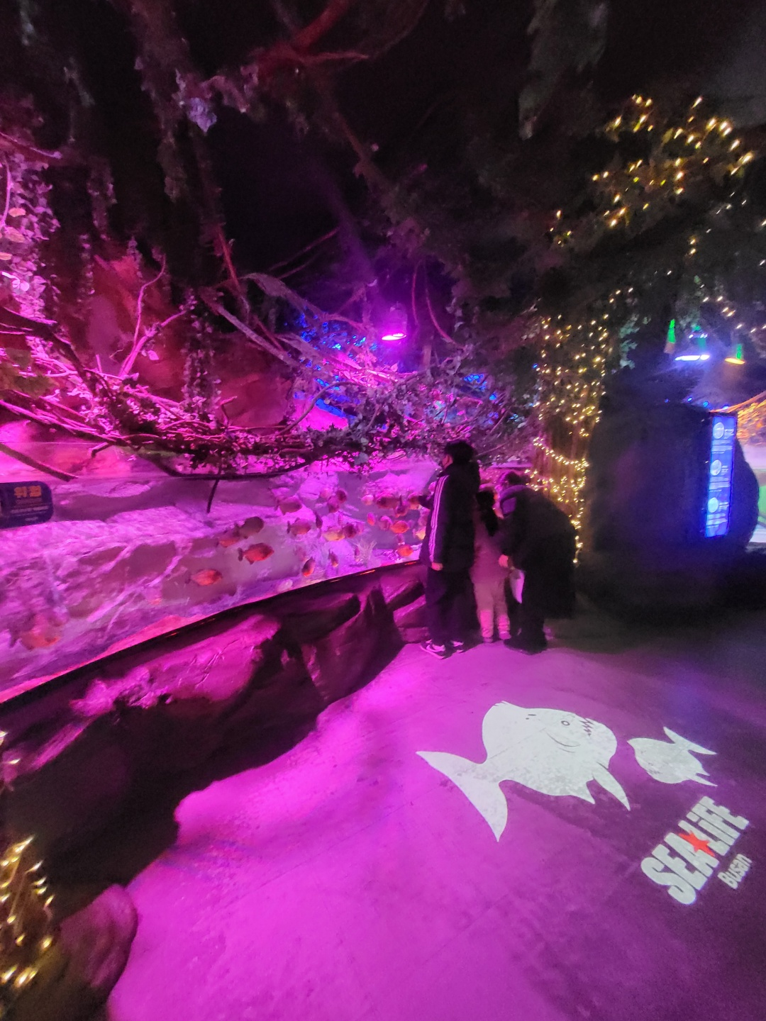 부산 아쿠아리움