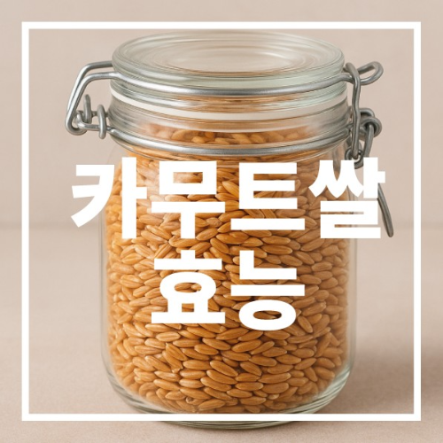 카무트쌀 효능