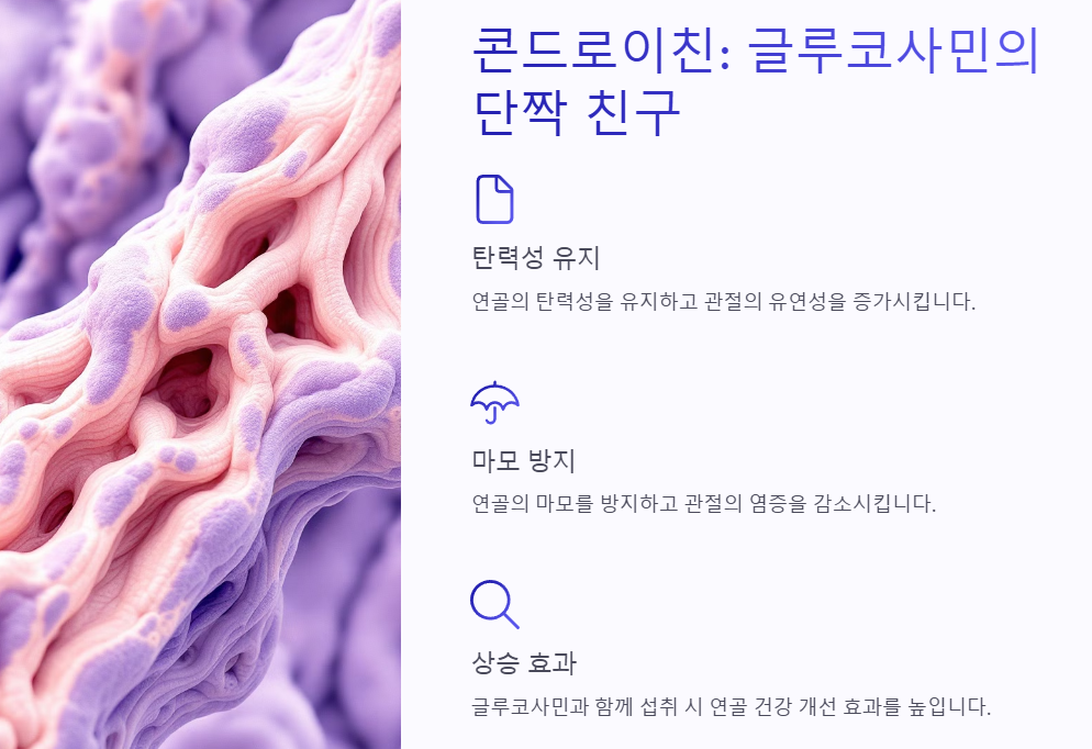 무릎 관절 건강