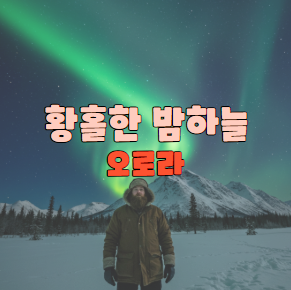 황홀한 밤하늘 오로라