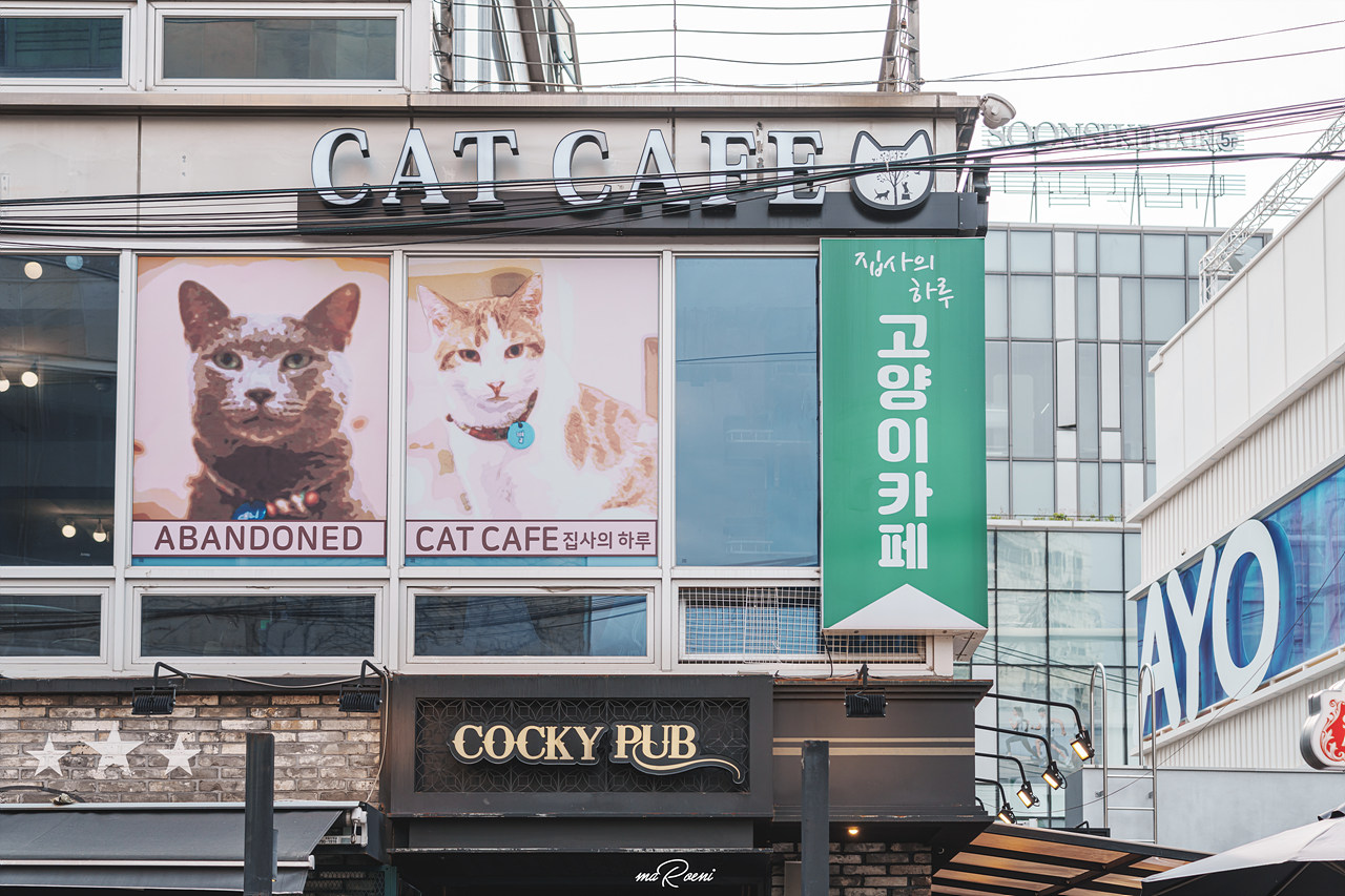 집사의 하루