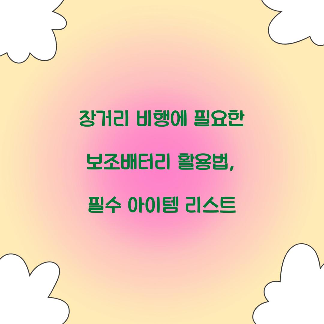 장거리 비행에 필요한 보조배터리 활용법