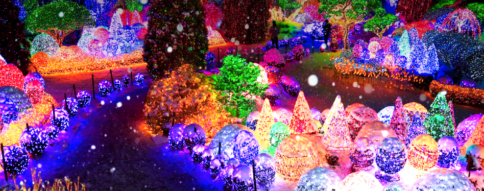 아침고요수목원 야경