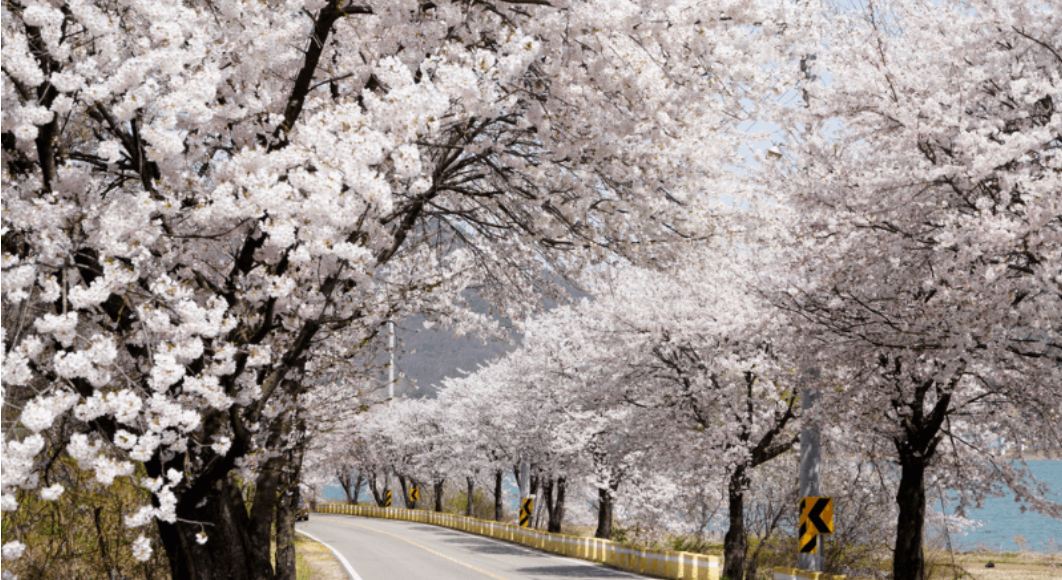 남한강 드라이브 코스