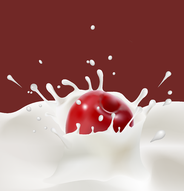 프로바이오틱스 추출물 건강보조식품