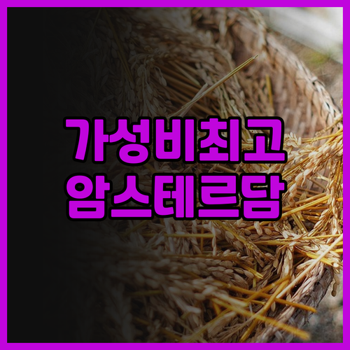 홀리데이 인 익스프레스 암스테르담 시..