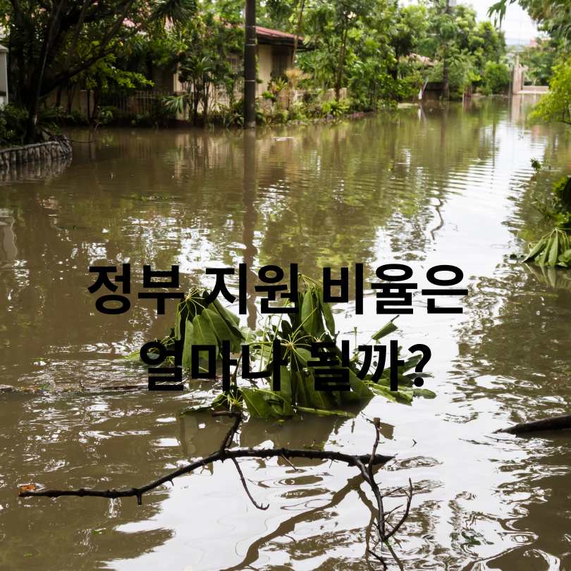 풍수해 지진재해보험 정부지원 신청방법