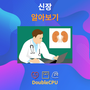 신장이란 무엇인가?