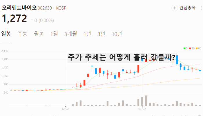 이재명 관련주 대장주 TOP7 주식