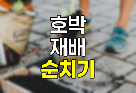 호박 순치기 방법 완벽 정리, 건강한 호박 재배를 위한 핵심 전략
