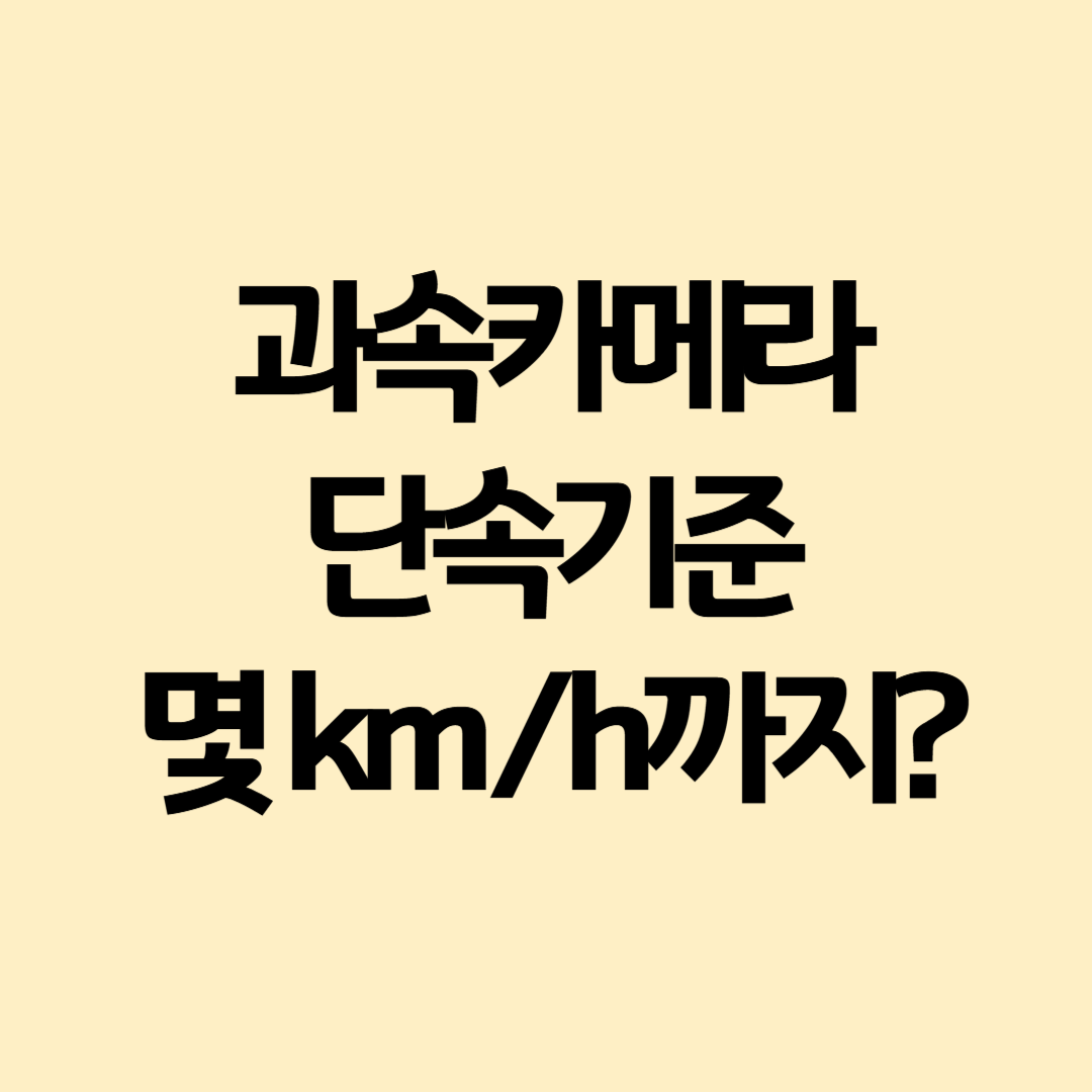 과속-카메라-단속-기준