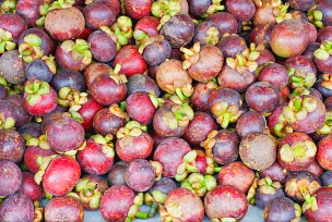 가르시니아 캄보지아 부작용