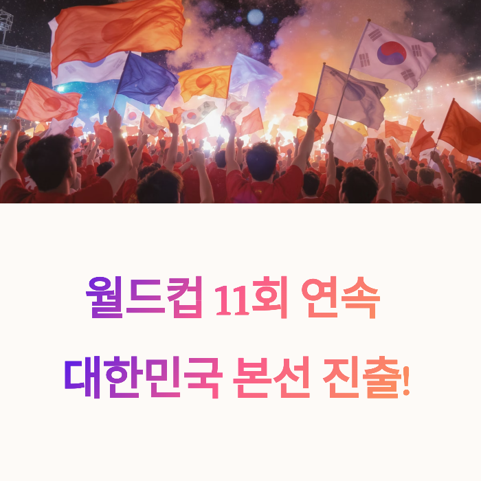 축구 팬의 눈으로 본 대한민국,