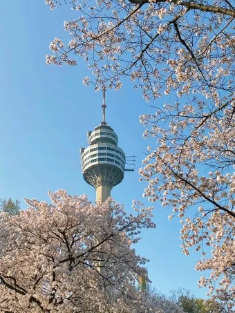 대구 가볼만한곳 베스트10 근대골목 수성못 노포맛집 여유 코스_12