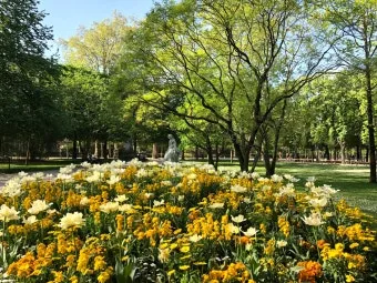 내일 지구의 종말이 올지라도 오늘 나는 한 그루 사과나무를 심는다 명언 해설_20