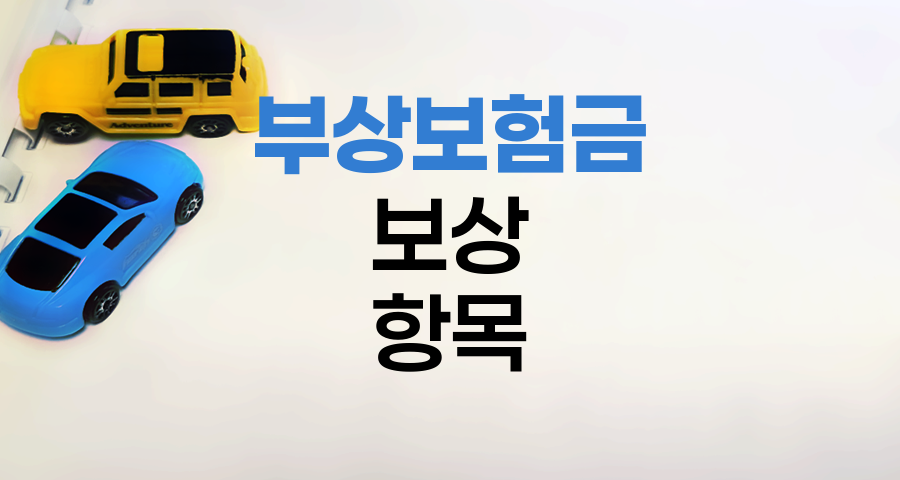 삼성화재 자동차보험 부상보험금 보상 항목