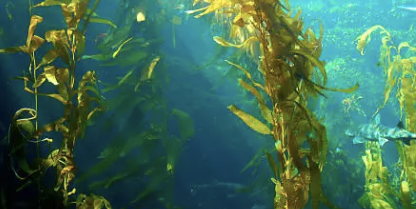 변비에 좋은 음식 변비해결방법