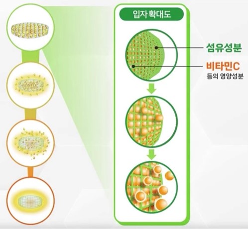 비타민C