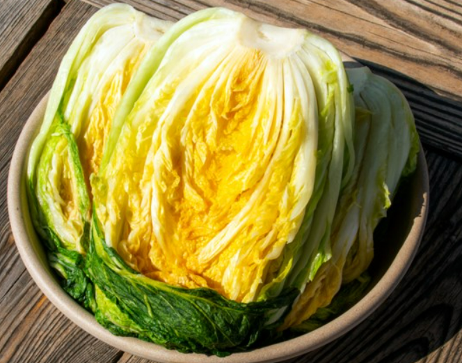 절임 배추 사진