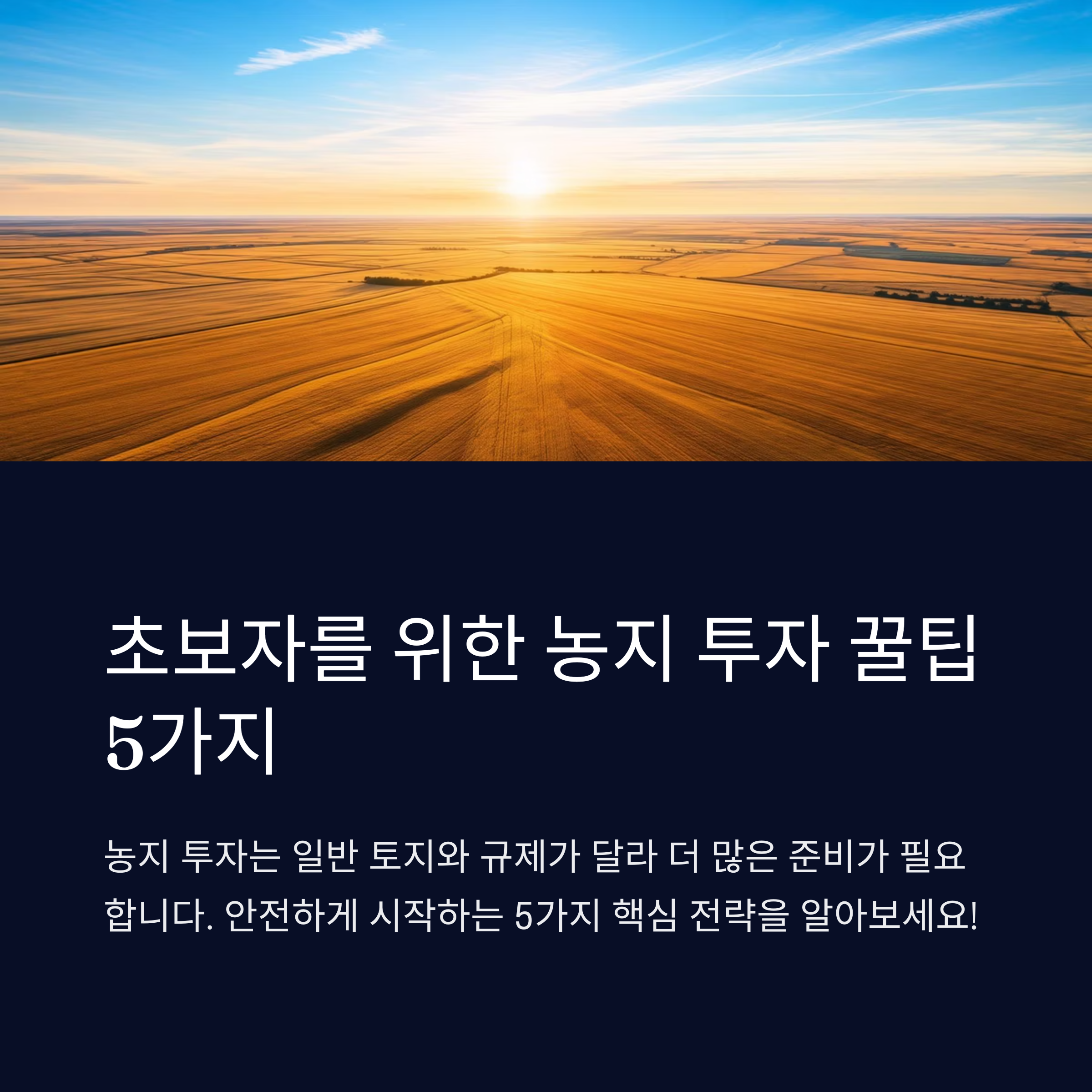 농지투자꿀팀