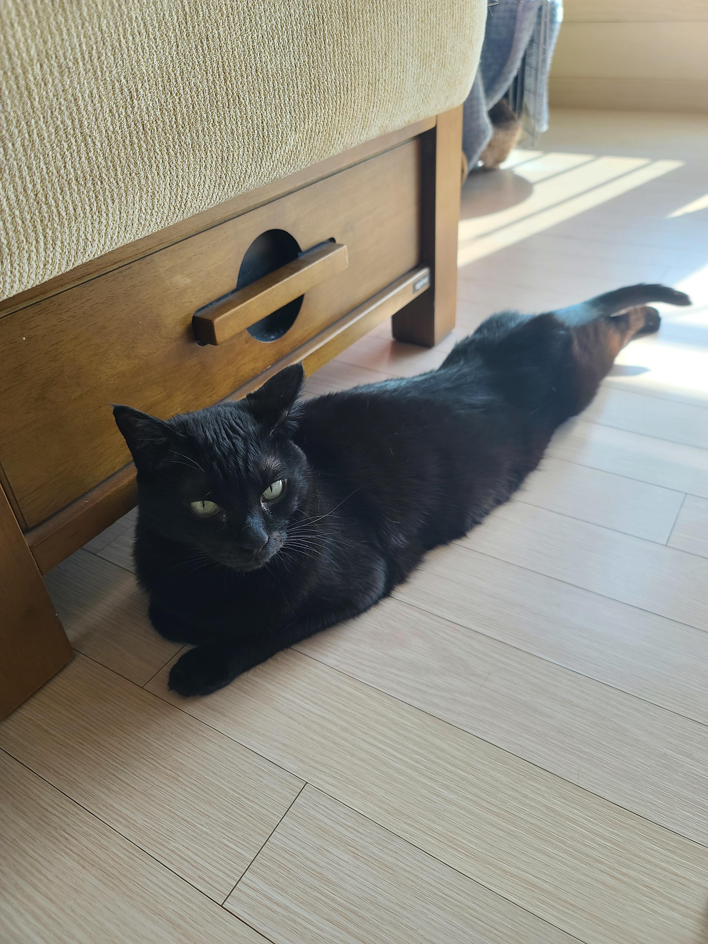 주제를 바꿔버린 건이와 상자놀이터 안의 다다 (feat.오메가3 안먹은 사랑이 ㅋㅋ)