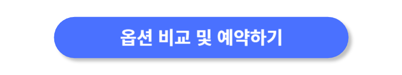 버튼