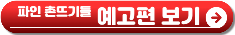 파인 촌뜨기들