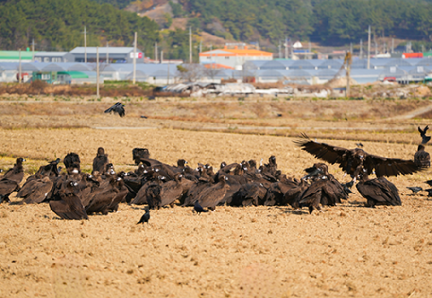 2024년 여행가는 달. 할인정보&#44; 예약방법&#44; 추천여행지