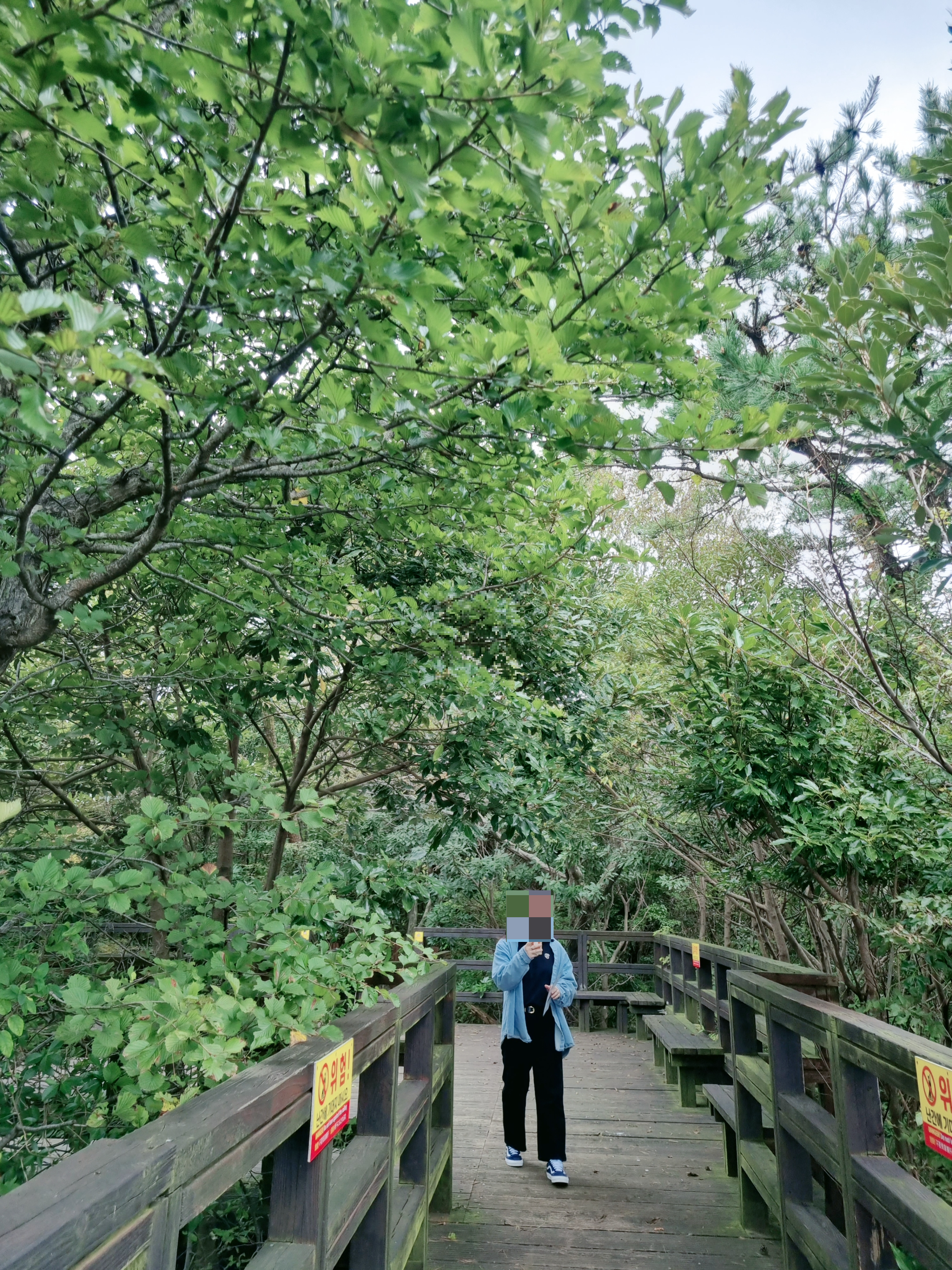 서귀포자연휴양림