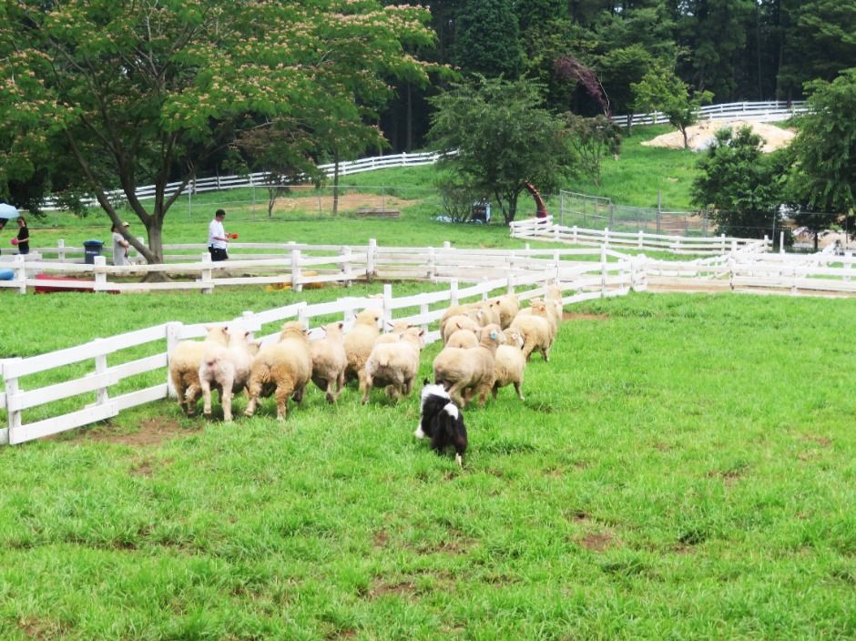 남해 가볼만한곳 베스트10